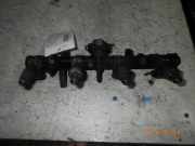 Einspritzdüse VW Polo III (6N2) 2435170160