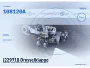 (229718 Drosselklappe RENAULT Twingo (C06) 108120A) 108120A