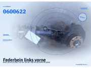 Federbein links vorne OPEL Vectra B (J96) 90495391 0600622