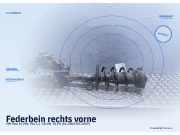 Federbein rechts vorne VW Polo IV (9N)