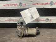 AGR-Ventil VW Polo IV (9N, 9A) 036131818