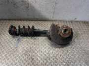 Federbein rechts vorne VW Golf V Variant (1KM) 824904013027