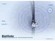 Blattfeder VW Caddy III Maxi Kombi (2KB)
