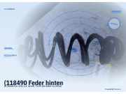 (118490 Feder hinten CITROEN C3 (FC))