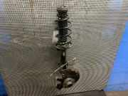Federbein links vorne SEAT Ibiza IV (6J)