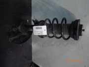 Federbein VW Golf V (1K)