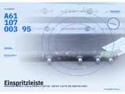 Einspritzleiste MERCEDES-BENZ C-Klasse (W203) A6110700395