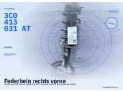 Federbein rechts vorne VW Passat B7 Variant (365) 3C0413031AT