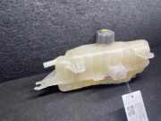 Behälter Kühlwasser RENAULT Clio III (BR0/1, CR0/1)