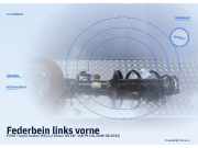 Federbein links vorne FORD Transit Kasten (FA)