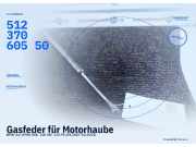 Gasfeder für Motorhaube BMW 3er (E90) 51237060550
