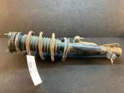 Federbein rechts vorne FORD Fiesta V (JH, JD) 824902005010