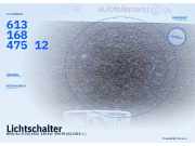 Lichtschalter BMW 1er (F20) 61316847524 61316847512