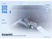 Gaspedal VW Polo IV (9N, 9A) 6Q1721503F 0280755063