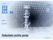 Federbein rechts vorne BMW X1 (E84) 31316851336