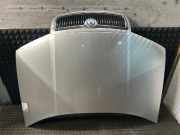 Motorhaube SKODA Fabia (6Y)