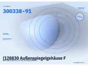 (128830 Außenspiegelgehäuse FIAT 500 C (312) 30033891) 300338-91