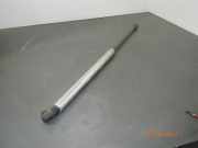 Heckklappendämpfer VW Fox Schrägheck (5Z)