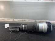 Federbein rechts vorne MERCEDES-BENZ S-Klasse (W220)