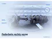 Federbein rechts vorne SEAT Ibiza III (6L)