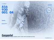 Gaspedal MERCEDES-BENZ A-Klasse (W169) A1693000104