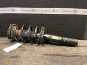 Federbein links vorne VW Scirocco III (13) 1T0413031HP