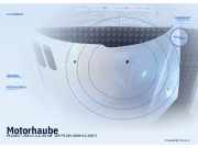 Motorhaube PEUGEOT 206 CC