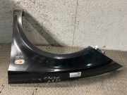 Kotflügel links vorne SEAT Leon (1P)