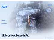 Motor ohne Anbauteile FORD Galaxy (WGR) AUY
