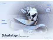 Sicherheitsgurt VW Passat B7 (362)