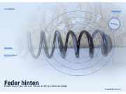 Feder hinten FORD Fiesta V (JH, JD)