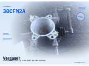 Vergaser FORD Fiesta III (GFJ) 30CFM2A