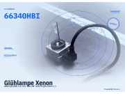 Glühlampe Xenon AUDI Q5 (8R) 66340HBI