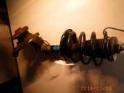 Federbein rechts vorne SEAT Alhambra (7V)