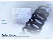 Feder hinten BMW 3er Touring (E91)
