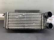 Ladeluftkühler FORD Fiesta VI (CB1, CCN) 1878624