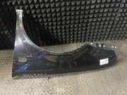 Kotflügel links vorne VW Golf IV (1J)