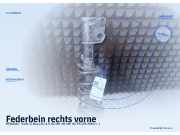 Federbein rechts vorne RENAULT Trafic II Bus (JL)