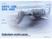 Federbein rechts vorne FORD Mondeo IV (BA7) 6G91-18K045-GAG