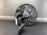 Elektrolüfter FORD Focus II (DA, DP, HCP) 1344539