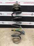 Feder hinten VW Polo V (6R, 6C)