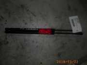 Heckklappendämpfer VW Touran (1T1, 1T2) 1T0827550E