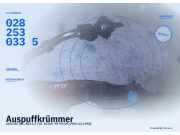 Auspuffkrümmer AUDI 80 (8C, B4) 0282530335