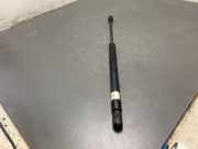 Heckklappendämpfer RENAULT Megane I (BA)