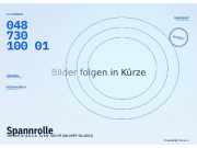 Spannrolle VW Golf IV (1J) 04873010001