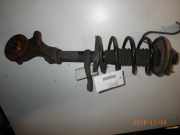 Federbein links vorne PEUGEOT 106 II (1)