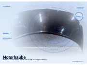 Motorhaube RENAULT Grand Scenic II (JM)
