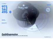 Gebläsemotor HYUNDAI Coupe (RD) 9711624950