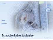 Achsschenkel rechts hinten VW Transporter T4 Bus