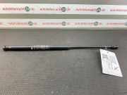 Heckklappendämpfer FIAT Punto Van (188) 46744596